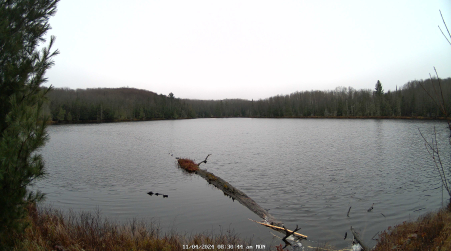 Image from 2024-11-04