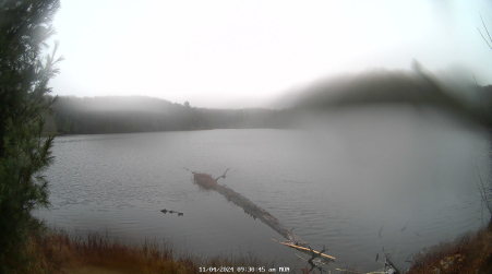 Image from 2024-11-04