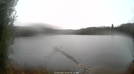Image from 2024-11-04