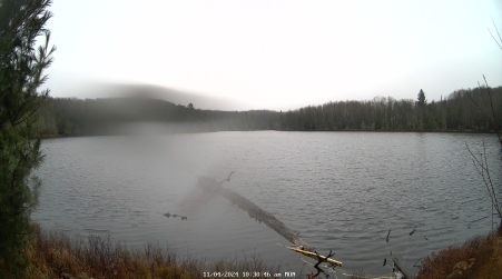 Image from 2024-11-04