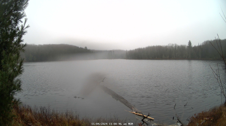 Image from 2024-11-04