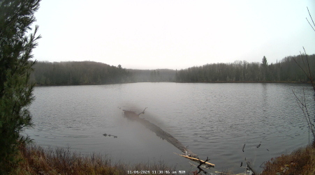 Image from 2024-11-04