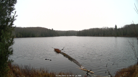 Image from 2024-11-04