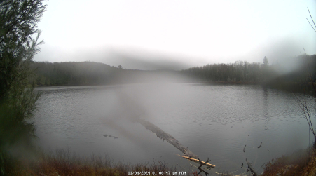 Image from 2024-11-04