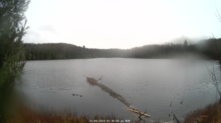 Image from 2024-11-04