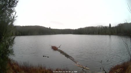 Image from 2024-11-04