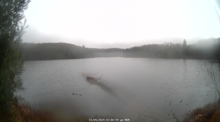 Image from 2024-11-04