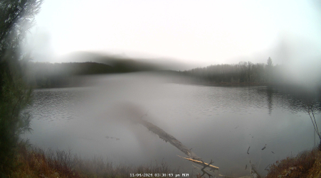 Image from 2024-11-04