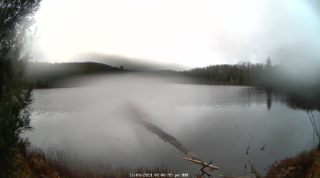 Image from 2024-11-04