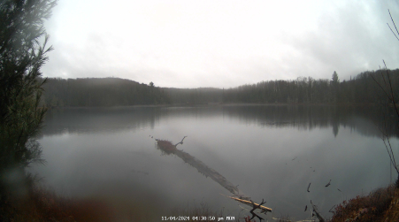 Image from 2024-11-04