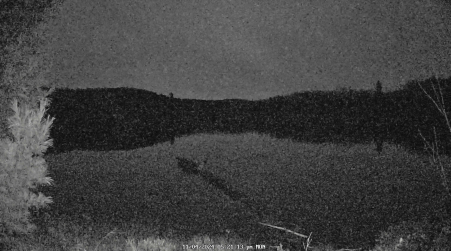 Image from 2024-11-04