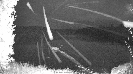 Image from 2024-11-04