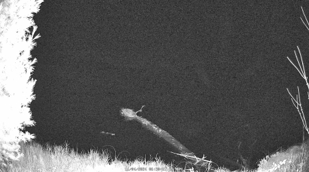Image from 2024-11-04