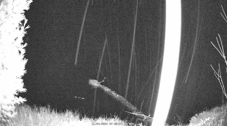 Image from 2024-11-04