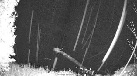 Image from 2024-11-04