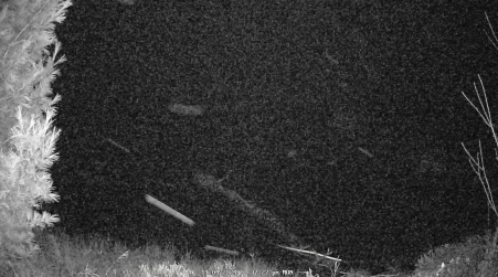 Image from 2024-11-04
