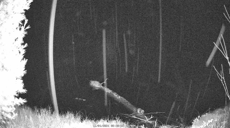 Image from 2024-11-04