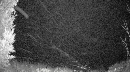 Image from 2024-11-04