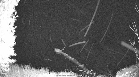 Image from 2024-11-04