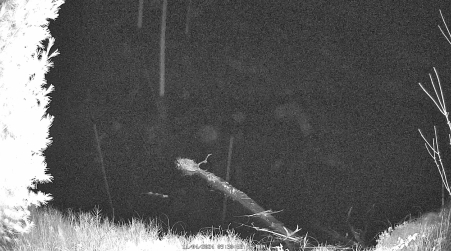 Image from 2024-11-04
