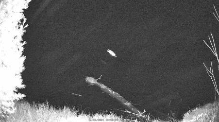 Image from 2024-11-04