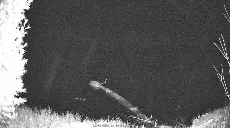 Image from 2024-11-04