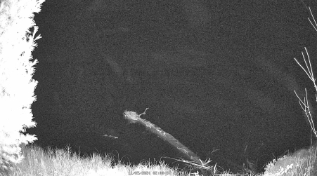 Image from 2024-11-05