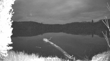 Image from 2024-11-05