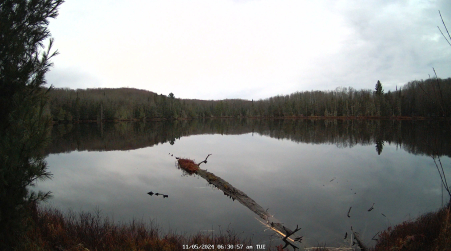 Image from 2024-11-05