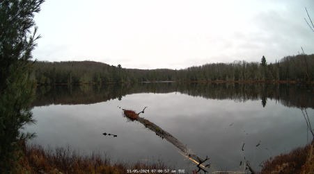 Image from 2024-11-05
