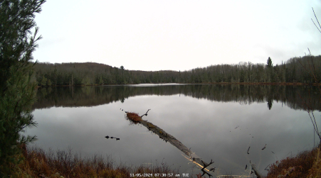 Image from 2024-11-05
