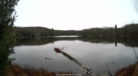 Image from 2024-11-05