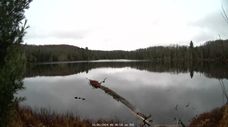 Image from 2024-11-05