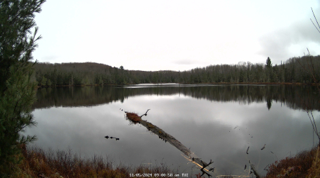 Image from 2024-11-05