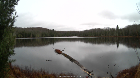 Image from 2024-11-05