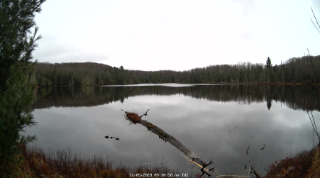Image from 2024-11-05