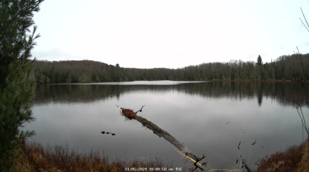 Image from 2024-11-05