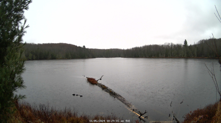 Image from 2024-11-05