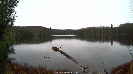 Image from 2024-11-05