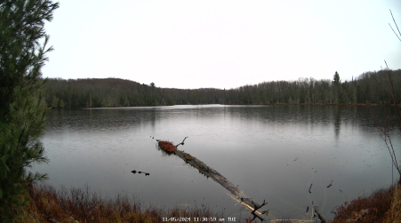 Image from 2024-11-05