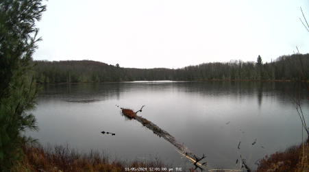 Image from 2024-11-05