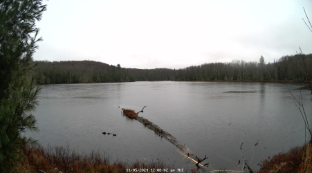 Image from 2024-11-05