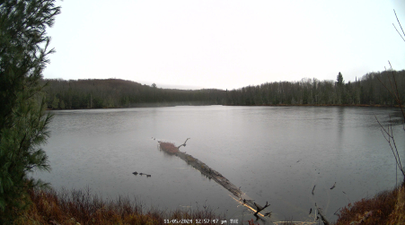 Image from 2024-11-05