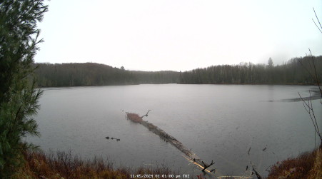 Image from 2024-11-05