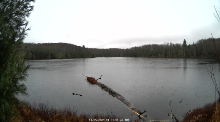 Image from 2024-11-05