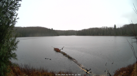 Image from 2024-11-05