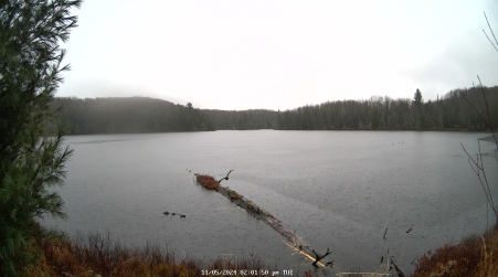 Image from 2024-11-05