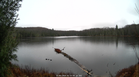 Image from 2024-11-05