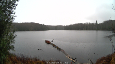 Image from 2024-11-05