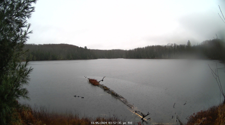 Image from 2024-11-05